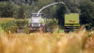 Rhön-Grabfeld: Maishäcksler wohl vorsätzlich beschädigt