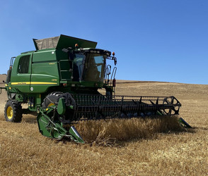 Extremhitze belastet die Ernte: Bauernverband in Sorge