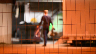 Immer mehr Vogelgrippe-Fälle: Sorge vor Wirtschafts-Schäden wächst