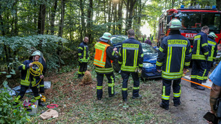 Autofahrer prallt in Grebenau gegen Baum und wird schwer verletzt