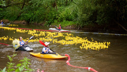 Entenrennen zum Hessentag in Fulda