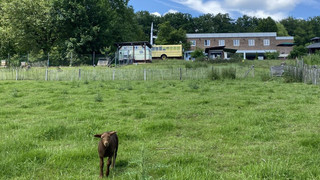 Umweltherberge Büdingen: Erste Veggie-Jugendherberge Deutschlands