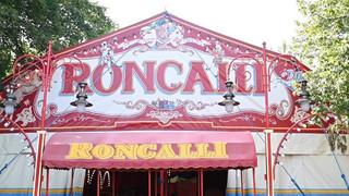 Unfall beim Zirkus Roncalli in Lübeck: Drei Artisten stürzen vom Seil