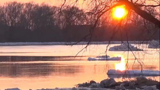 Solarstrom, Euro, Fastenmonat und Liebe? Das bringt der Februar