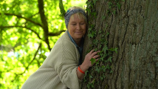 Baum-Umarm-Meisterschaft in Bad Pyrmont: Wettbewerb für Naturfans