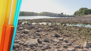Dürre-Alarm: So drastisch sinken die Pegel von Rhein und Isar
