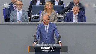 Schlagabtausch im Bundestag: Merz nennt AfD «destruktive Kraft»