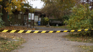 Wolfsattacke im Wildpark: Mädchen schwer verletzt