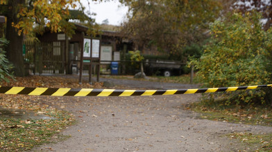 Wolfsattacke im Wildpark: Mädchen schwer verletzt