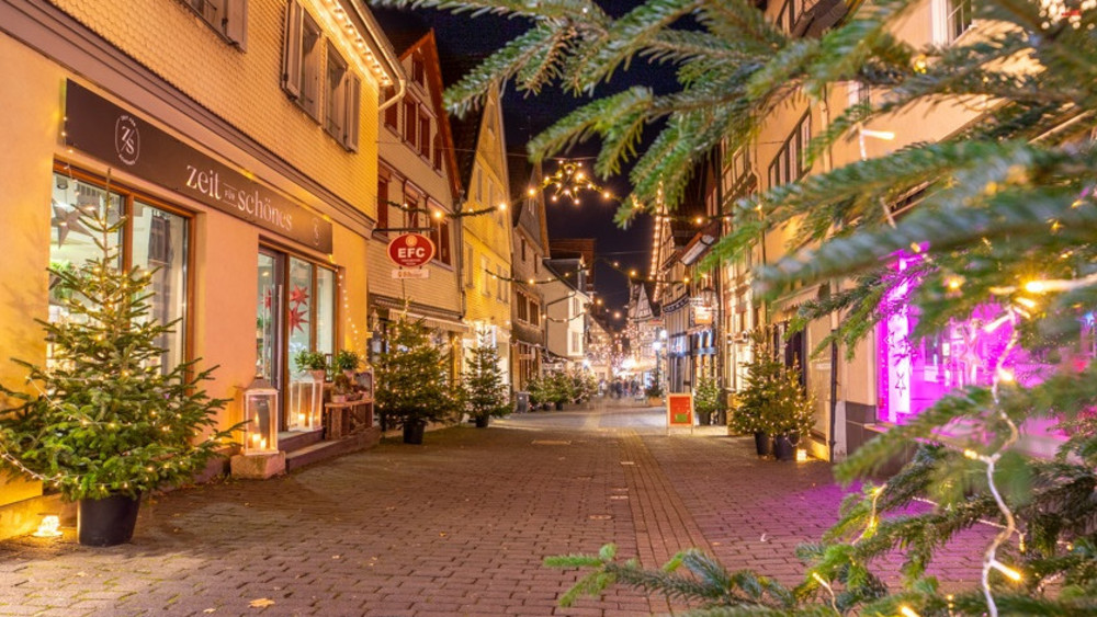 In Alsfeld startet heute der Weihnachtsmarkt (Foto von Weihnachtsbäumen in der Obergasse). 