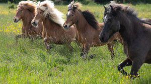 Bilder des Tages