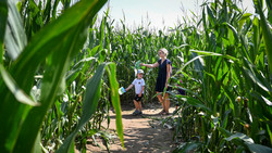 Maislabyrinth und Kürbiswelt Hofheim