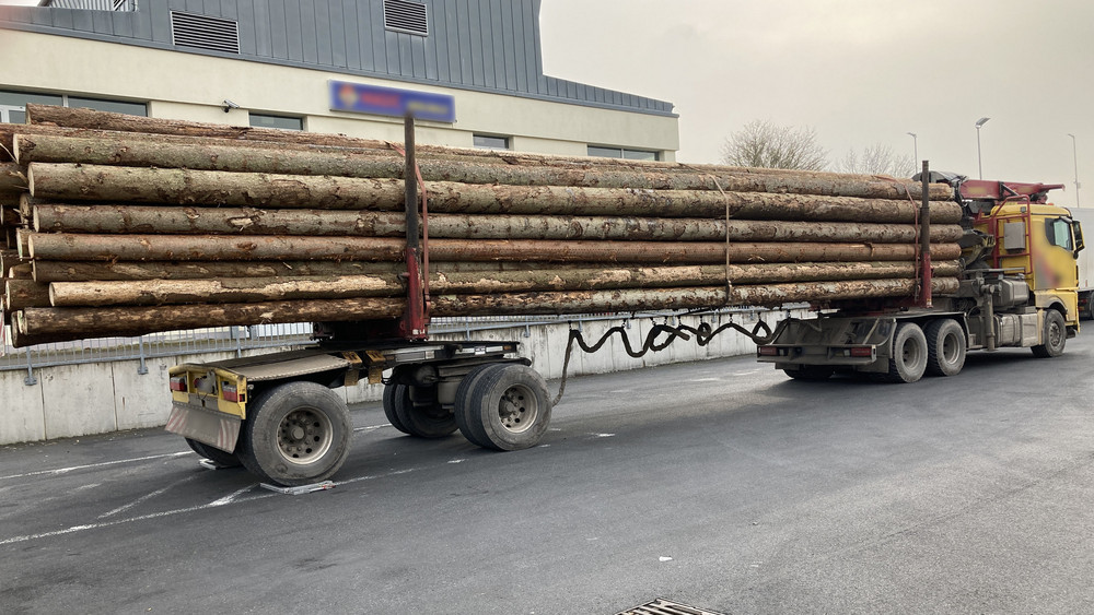 Die Profis der Polizei haben sofort erkannt: Dieser Holzlaster ist komplett überladen.