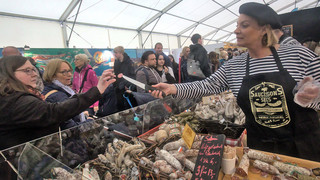 Mannheimer Maimarkt 2024: Messe, Pferdeturnier und Veranstaltungen