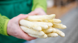 Spargelwanderung im Ried: Was Besucher am Sonntag erwartet