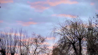 Augenzeugen: Bilder der FFH-Hörer