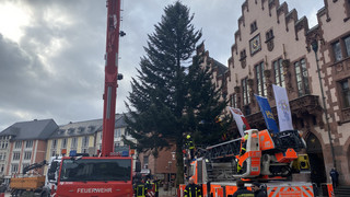 Frau Holle ist jetzt in Frankfurt: Weihnachtsmarktbaum steht