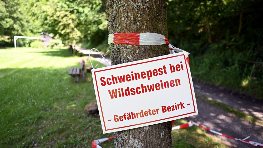 Warnschild Schweinepest Nordrhein-Westfalen 
