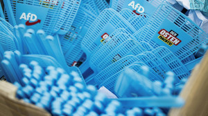 Darum gründet die AfD eine neue Jugendorganisation