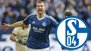 Dzeko glaubt an Schalke-Aufstieg: "Gehört in die Bundesliga"