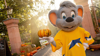 Überraschung, FFH: mit Europa Park zur Eintracht in Freiburg