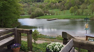 Gesundheitsämter warnen: Viele Badeseen mit Blaualgen belastet