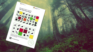 Spielspaß für draußen: Spaziergangs-Bingo