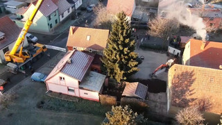 Aus Thüringen: Weihnachtsbaum fürs Brandenburger Tor gefällt