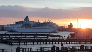 «Das Traumschiff» legt an: «Amadea» beendet Kreuzfahrtsaison für Warnemünde