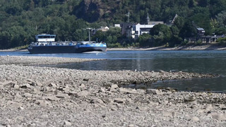 Extremwetter in Deutschland: «Historische» Niedrigwasserstände im Rhein