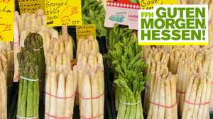 Spargel-Zeit: Faszinierende Spargel-Fakten