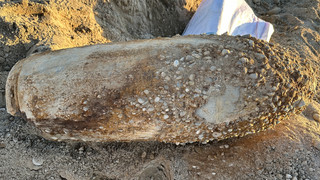 Weltkriegsbombe in Ludwigshafen entdeckt: Keine Gefahr für Anwohner