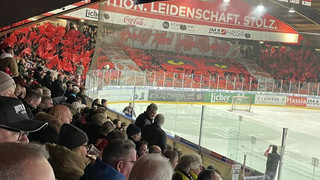 EC Bad Nauheim: Adam Mitchell steigt zum Cheftrainer auf