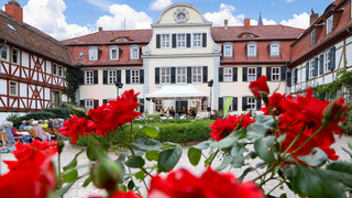 Kultursommer Nordhessen: Konzerte in Wald und Wiese