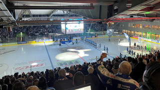 FFH-Teamcheck Kassel Huskies: Komplett neue Offensive