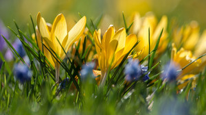 Checkliste für den perfekten Frühling