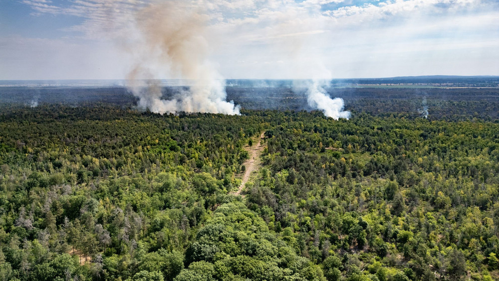 Waldbrand in der Gohrischheide