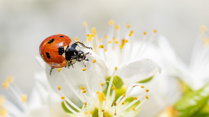 Kreuz & Quer am 8. März: Erlebnisse für Herz und Seele
