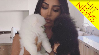 Stars und ihre Hunde: Promis mit Vierbeinern