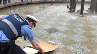 Polizei rettet Entenfamilie mit selbstgebastelter Rampe