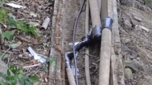 Kabel an Bahnstrecke durchtrennt – Polizei vermutet Sabotage