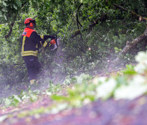 Unwetter in Bayern: Bäume stürzen auf Autobahnen