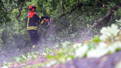 Unwetter in Bayern: Bäume stürzen auf Autobahnen
