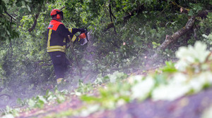 Unwetter in Bayern: Bäume stürzen auf Autobahnen