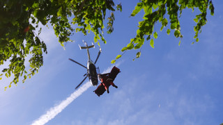 Rettung per Helikopter - Reiterin verunglückt bei Taunusstein