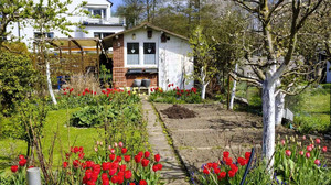 Trend Schrebergarten: Das sollten angehende Hobbygärtner wissen