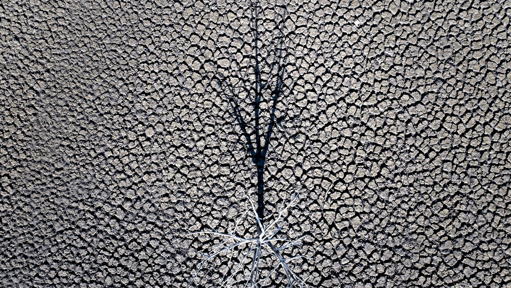 EU setzt sich neues Ziel für den Klimaschutz