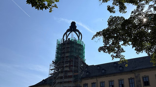 Krone auf Schlossturm: Was sagen die Fuldaer?