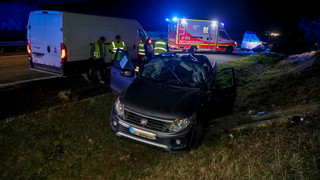 A7 bei Fulda: Pferd reißt nach Transport-Unfall aus