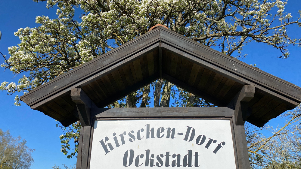 Schild mit der Aufschrift "Kirschendorf Ockstadt" vor einem Kirschenbaum